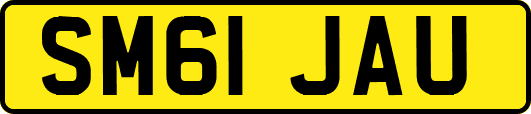 SM61JAU