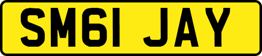 SM61JAY