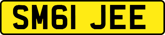 SM61JEE