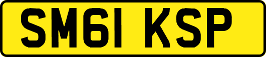 SM61KSP
