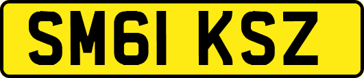 SM61KSZ