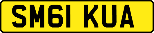 SM61KUA