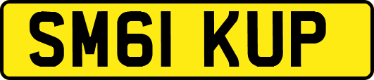 SM61KUP