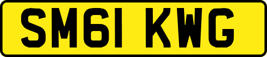 SM61KWG