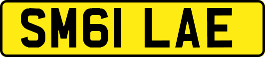 SM61LAE