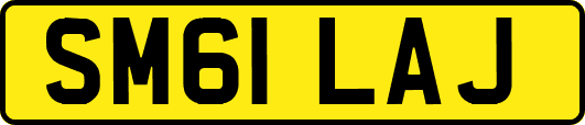 SM61LAJ