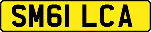 SM61LCA