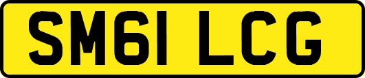 SM61LCG