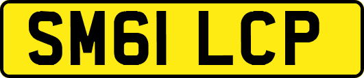 SM61LCP