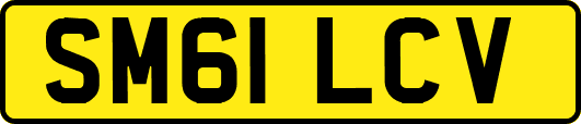 SM61LCV