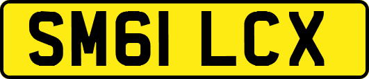 SM61LCX