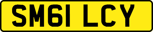 SM61LCY