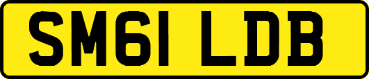 SM61LDB