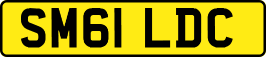SM61LDC