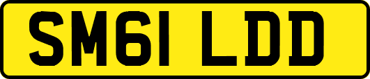 SM61LDD