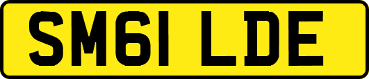 SM61LDE