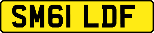 SM61LDF