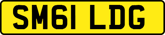 SM61LDG