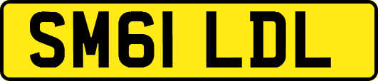 SM61LDL