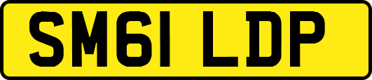 SM61LDP
