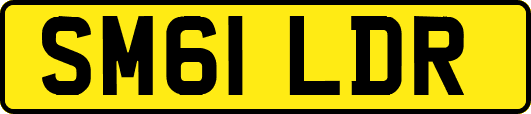 SM61LDR