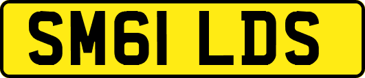 SM61LDS
