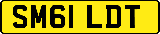 SM61LDT