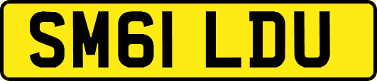 SM61LDU