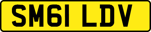 SM61LDV