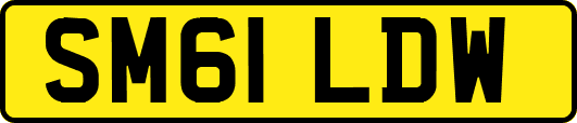 SM61LDW