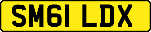 SM61LDX