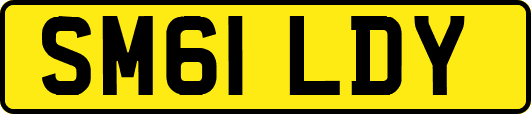 SM61LDY