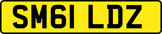 SM61LDZ