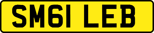 SM61LEB