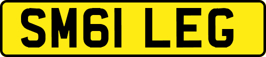 SM61LEG