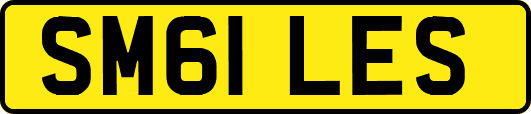 SM61LES
