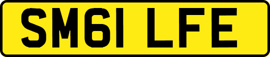 SM61LFE