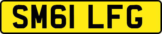 SM61LFG