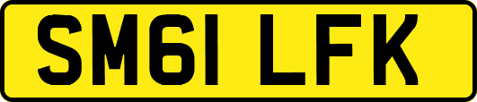 SM61LFK