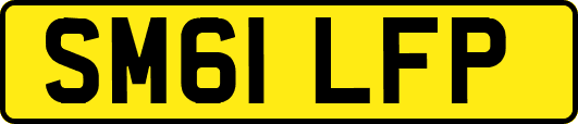 SM61LFP