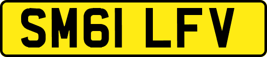 SM61LFV