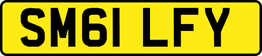 SM61LFY