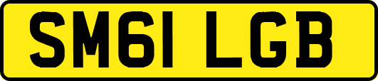 SM61LGB