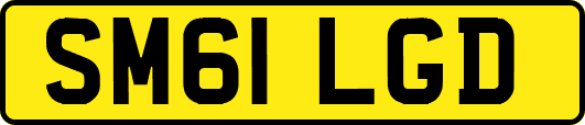 SM61LGD