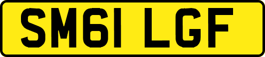 SM61LGF