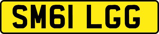 SM61LGG