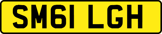 SM61LGH