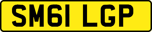 SM61LGP