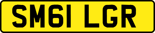 SM61LGR