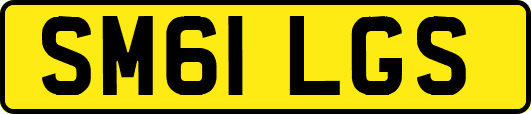 SM61LGS